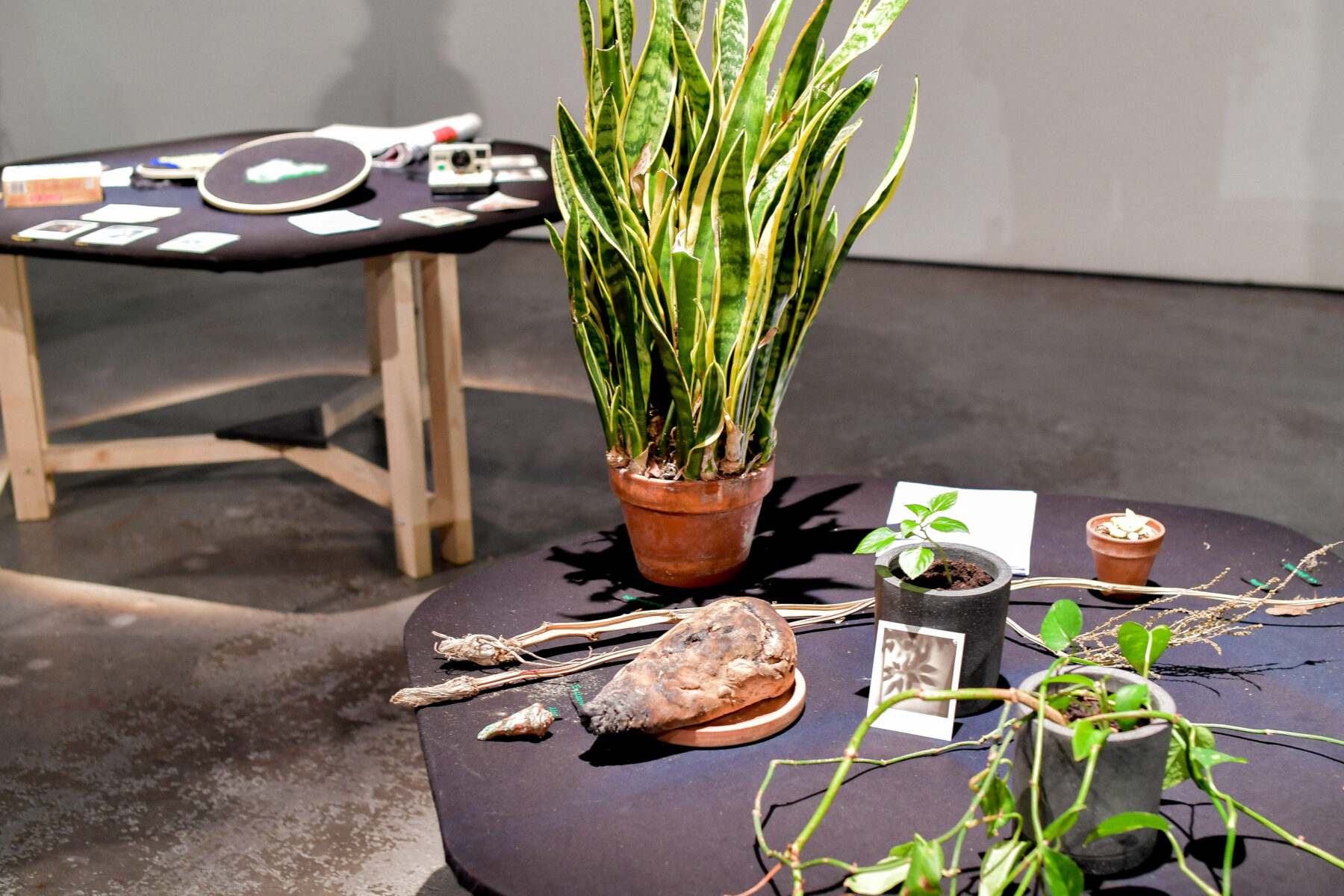 Anouk Daguin - Perform Lab