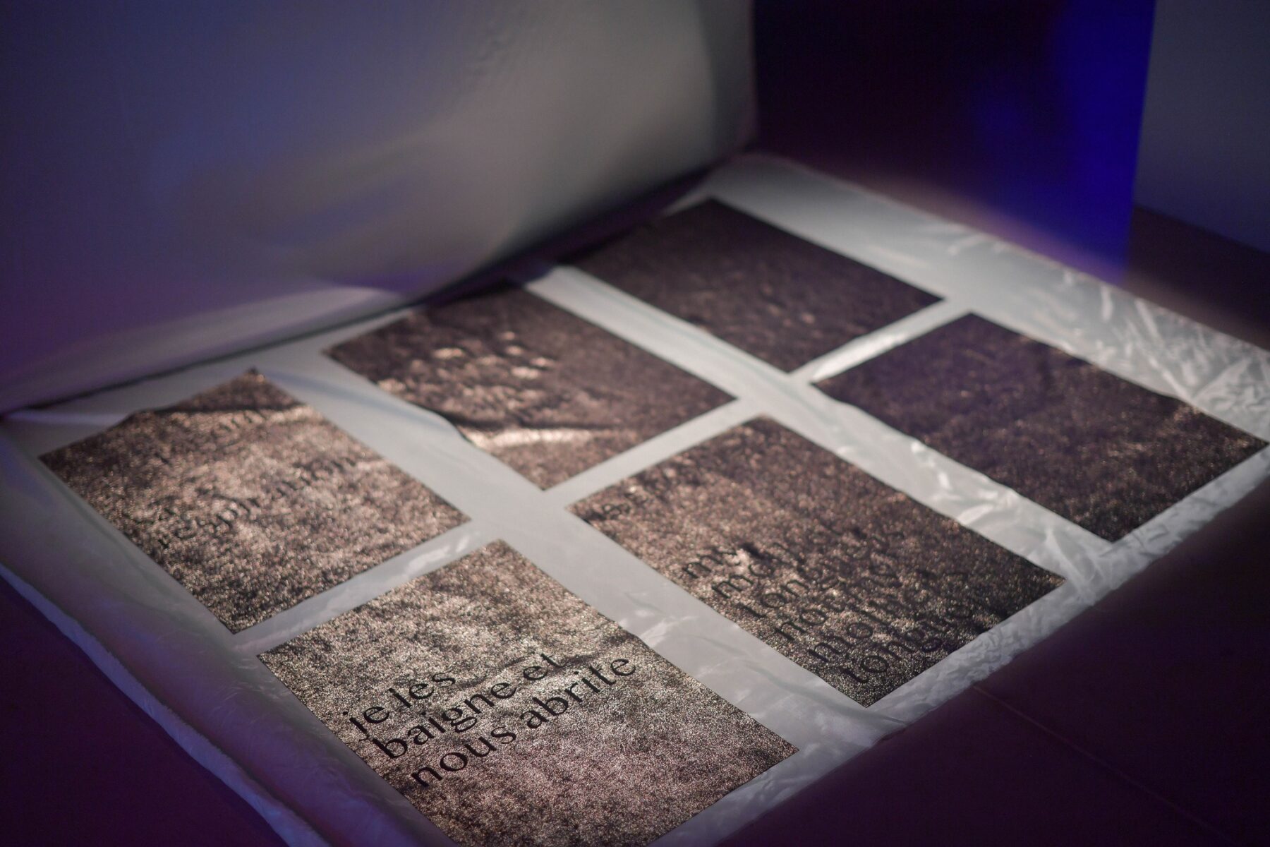 Useful Fictions • 4 : Faire corps – corps empêché, corps augmenté, corps social Campus de l’Institut polytechnique de Paris | 25 – 30.08.2024, Centre Wallonie-Bruxelles – Paris | 31.08 – 01.09.2024 - Perform Lab