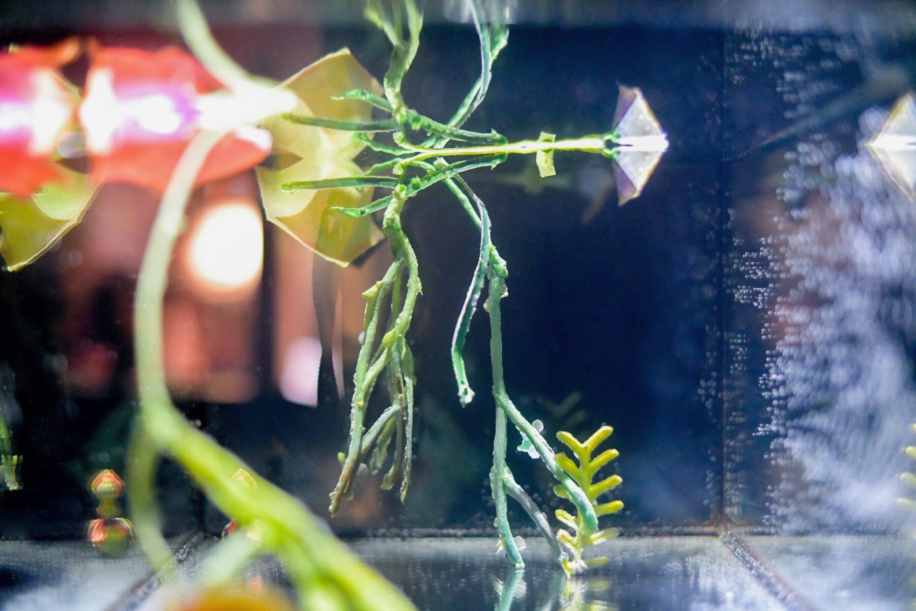 Useful Fictions • 4 : Faire corps – corps empêché, corps augmenté, corps social Campus de l’Institut polytechnique de Paris | 25 – 30.08.2024, Centre Wallonie-Bruxelles – Paris | 31.08 – 01.09.2024 - Perform Lab