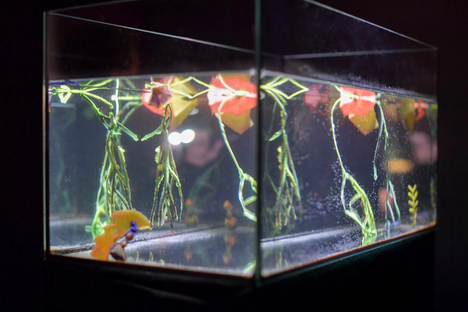 Useful Fictions • 4 : Faire corps – corps empêché, corps augmenté, corps social Campus de l’Institut polytechnique de Paris | 25 – 30.08.2024, Centre Wallonie-Bruxelles – Paris | 31.08 – 01.09.2024 - Perform Lab