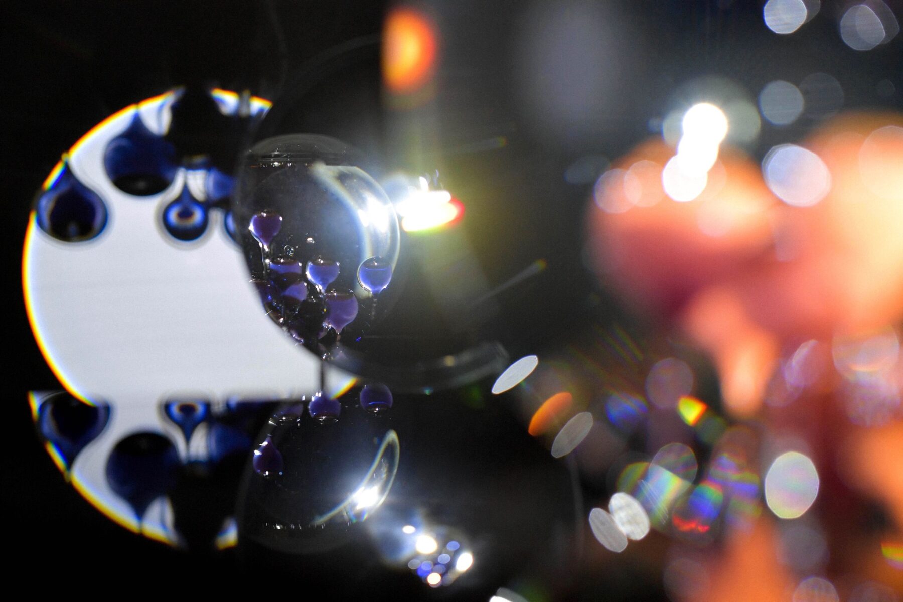 Volvox – Plonger dans la lumière – - Perform Lab