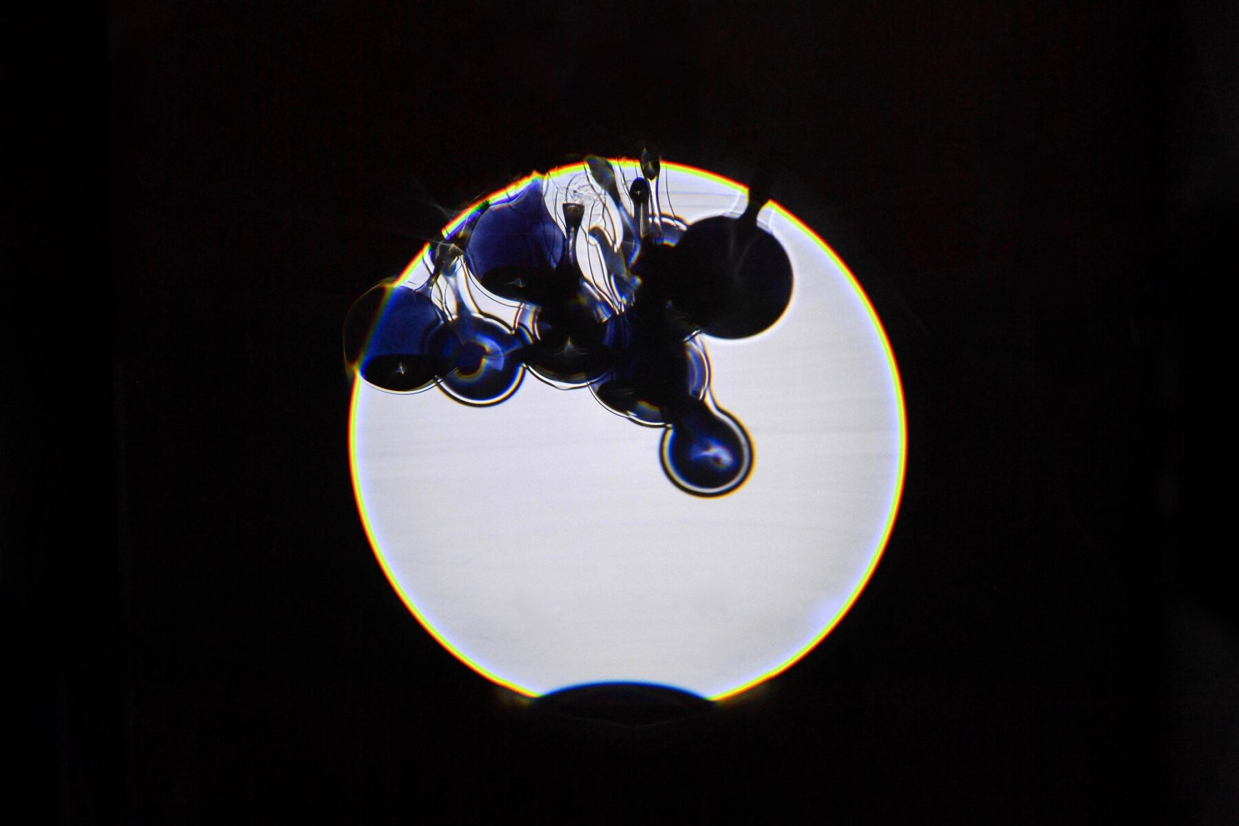 Volvox – Plonger dans la lumière – - Perform Lab