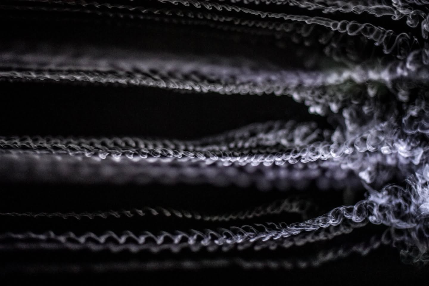 Et mainte page blanche entre ses mains froissée - Perform Lab