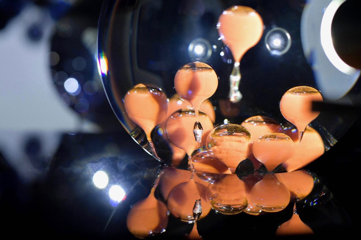 Volvox – Plonger dans la lumière – - Perform Lab