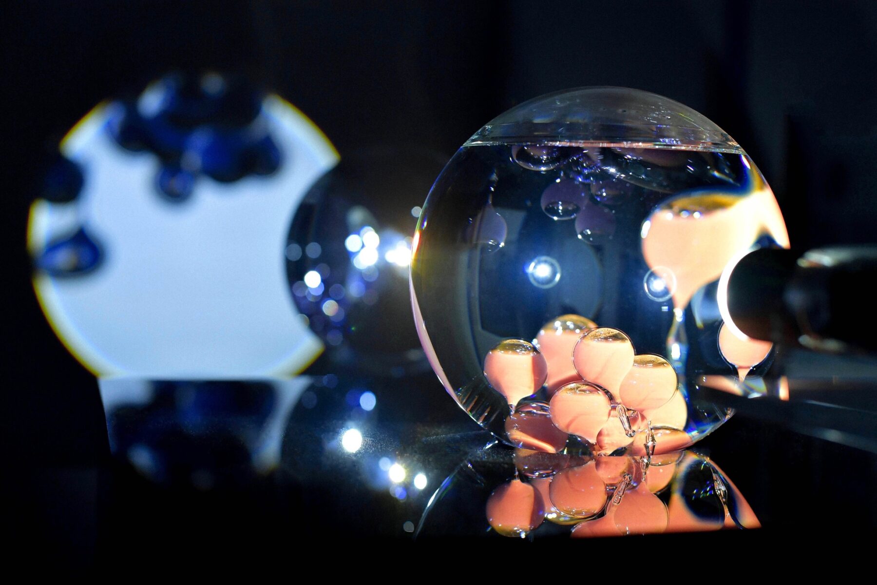 Volvox – Plonger dans la lumière – - Perform Lab