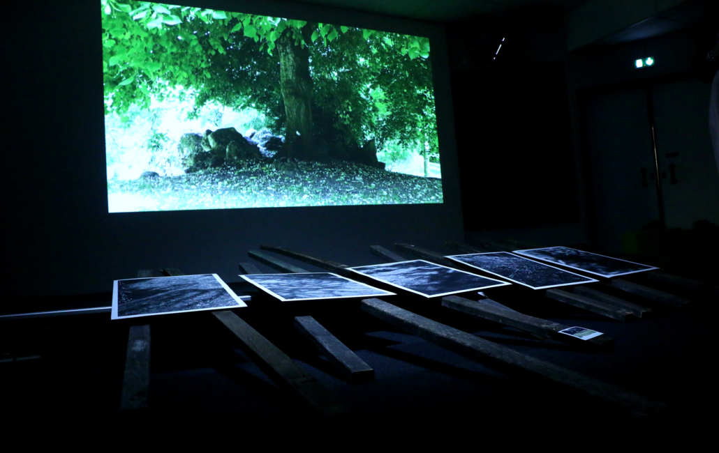 Useful Fictions • 2 : Prendre racine Poitiers | 4-11.07.2021 - Perform Lab