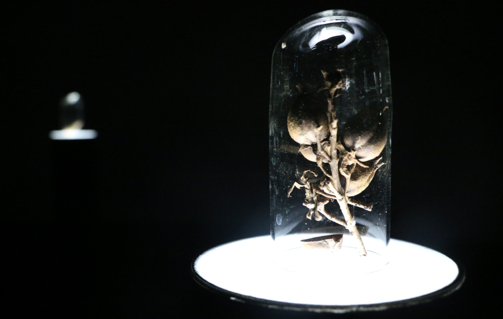 Useful Fictions • 2 : Prendre racine Poitiers | 4-11.07.2021 - Perform Lab