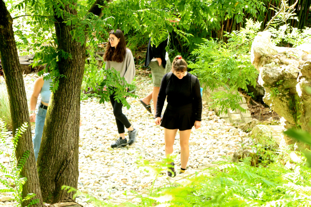 Useful Fictions • 2 : Prendre racine Poitiers | 4-11.07.2021 - Perform Lab