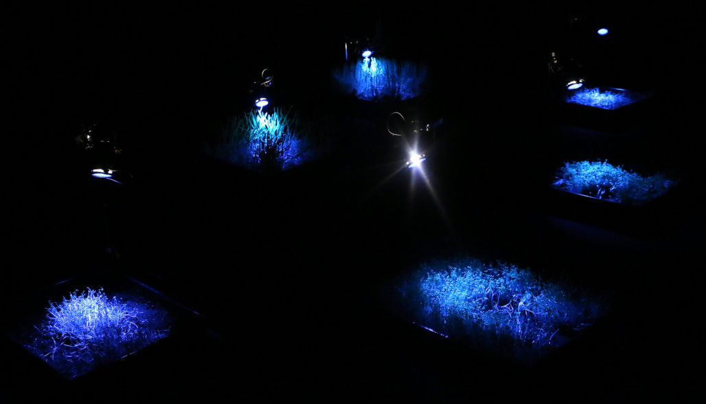 Useful Fictions • 2 : Prendre racine Poitiers | 4-11.07.2021 - Perform Lab