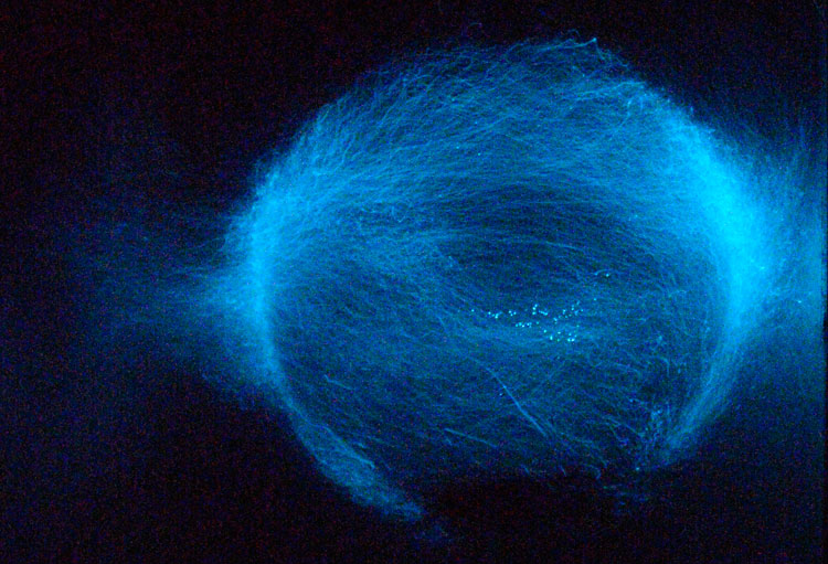 Test conférence 2 - Perform Lab