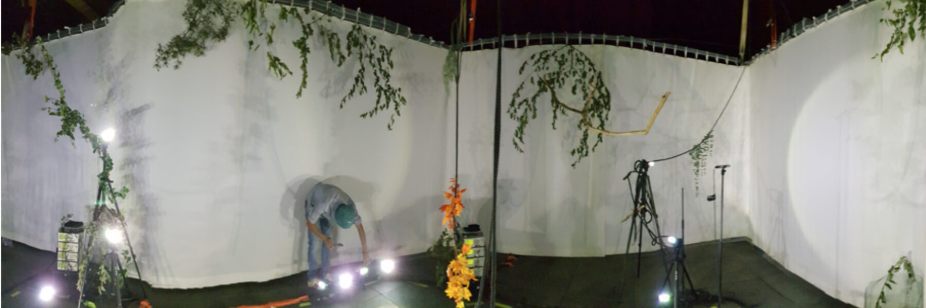 Décalage vers le rouge – Devenir Machine - Perform Lab