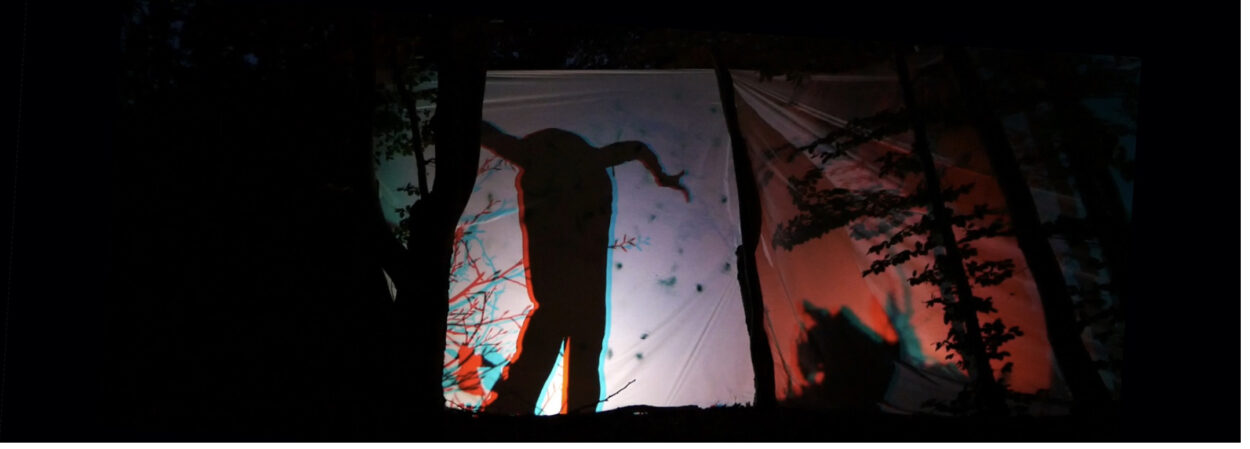 Décalage vers le rouge – Devenir sol, plante, animal (2020) et Décalage vers le rouge – Origine Temps-Espace (2024) - Perform Lab