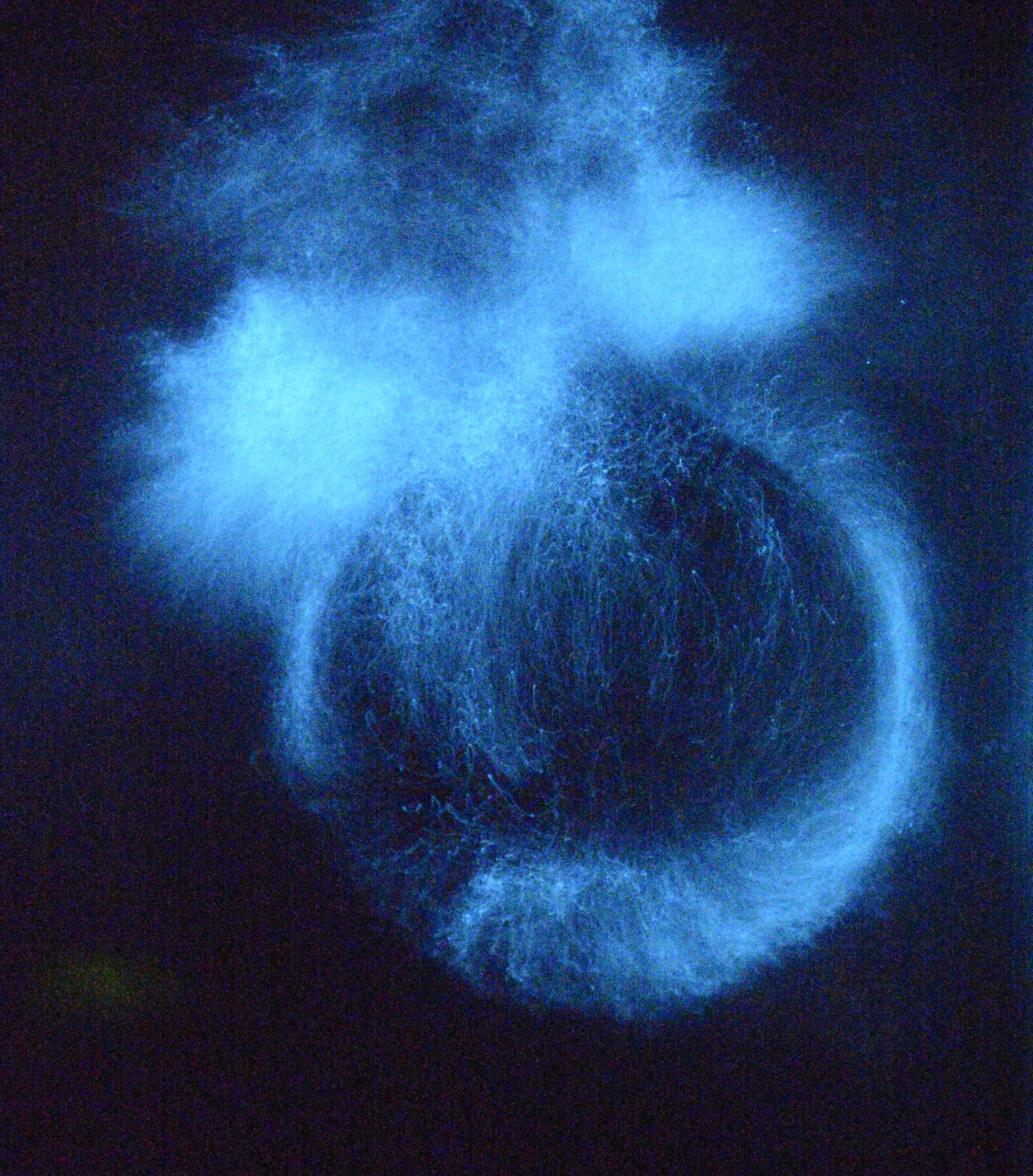 Test conférence 2 - Perform Lab