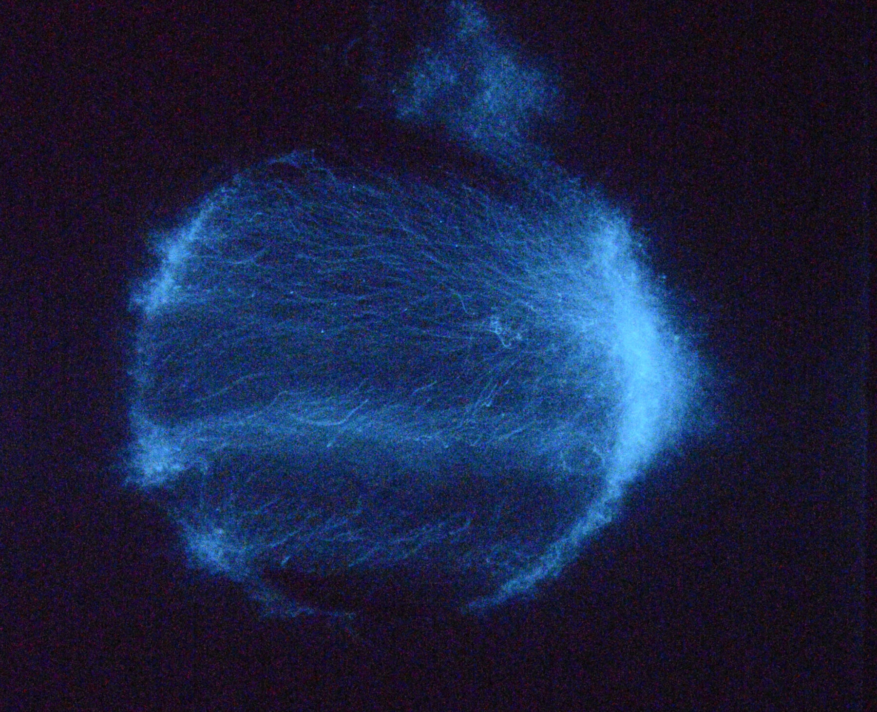 Test publication #1 - Perform Lab