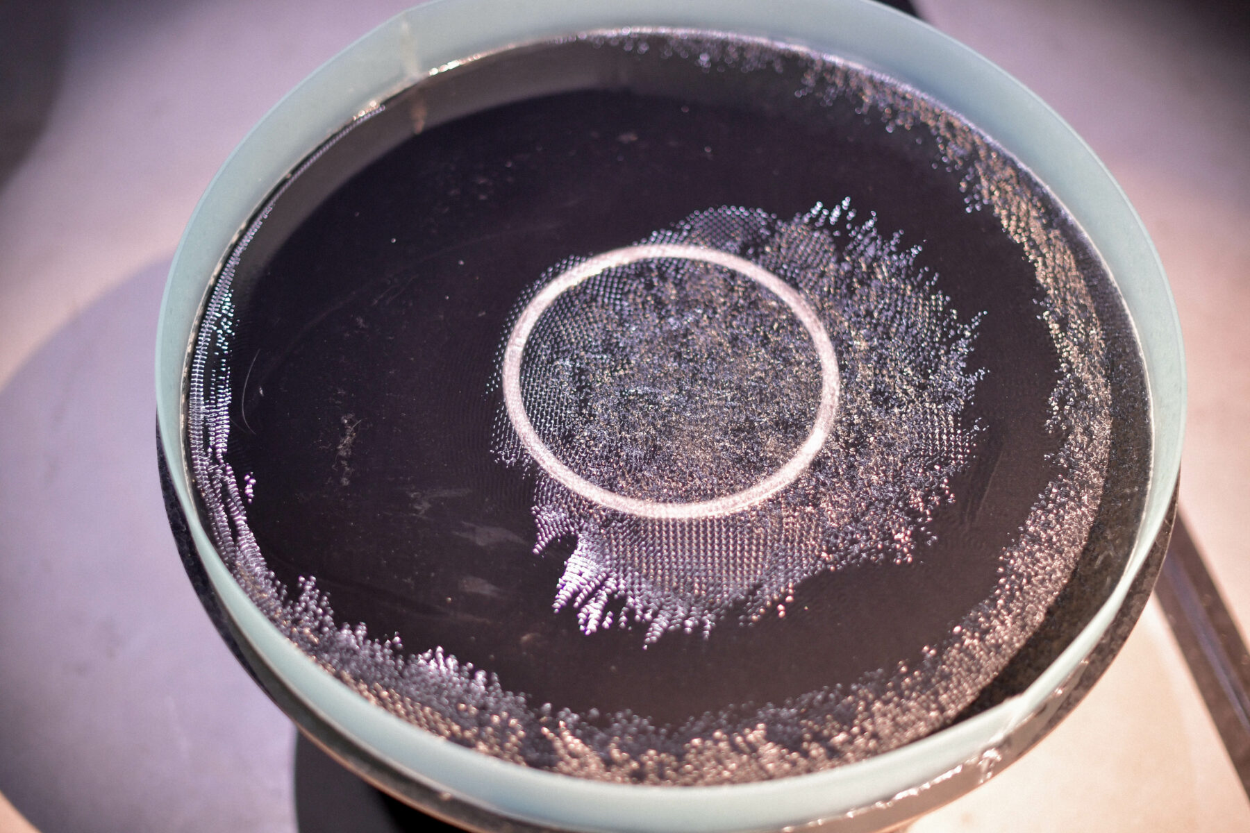 Useful Fictions •5 – Atmosphère, atmosphères - Perform Lab