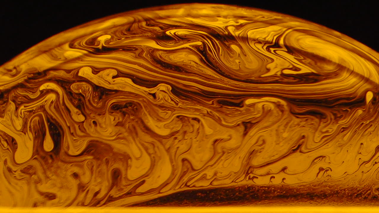 Terra Bulla - Perform Lab