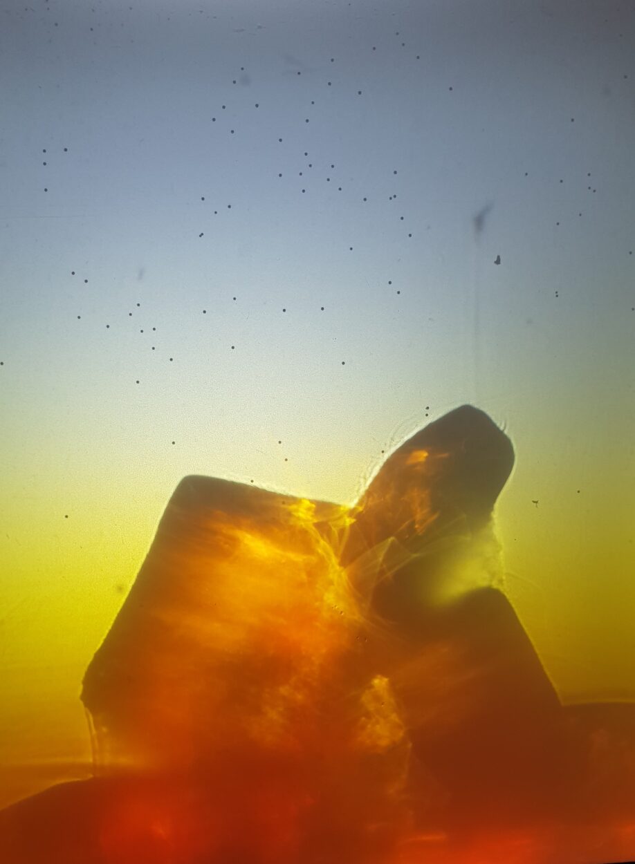 Irréversibles abstractions – Dissolution des mondes flottants - Perform Lab