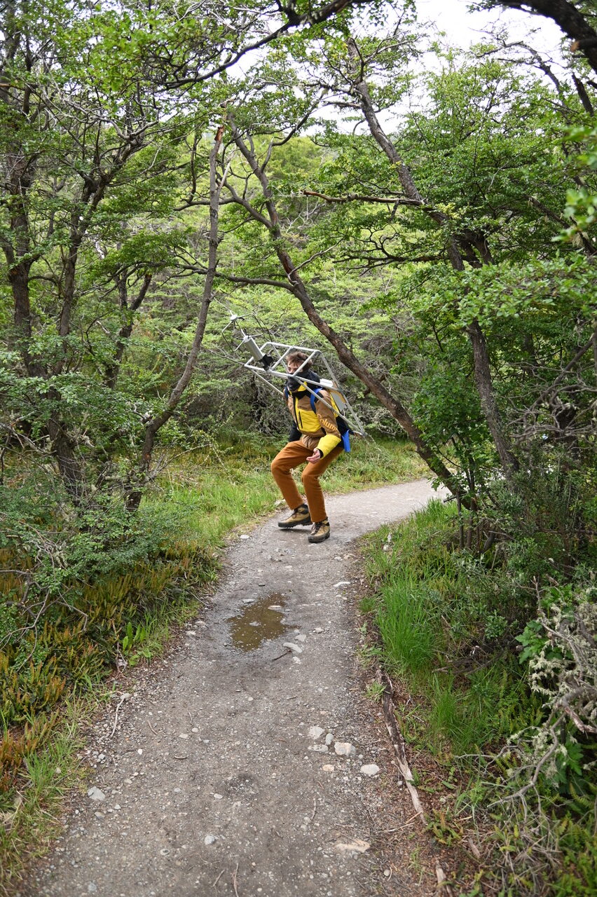 The Compass Rose - Perform Lab