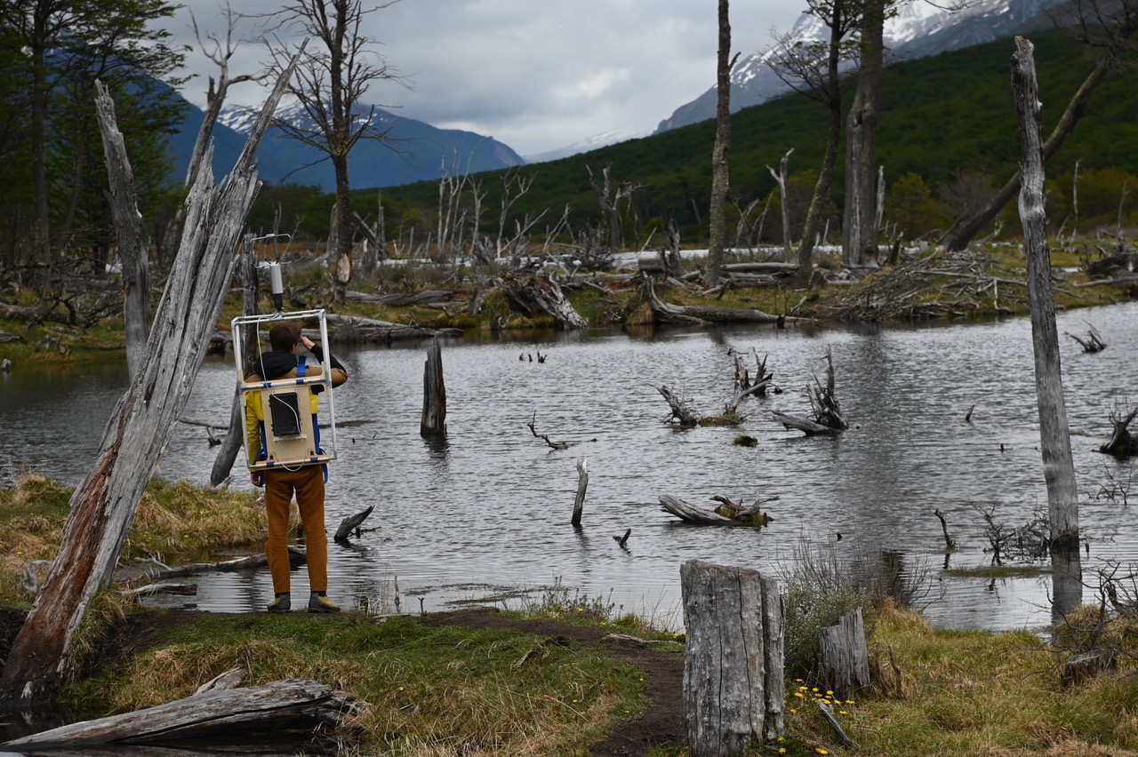 The Compass Rose - Perform Lab