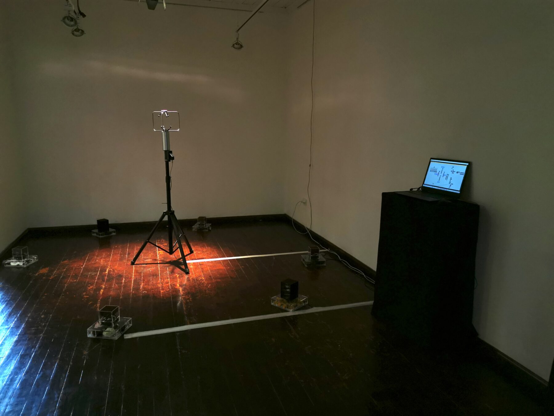 The Compass Rose - Perform Lab