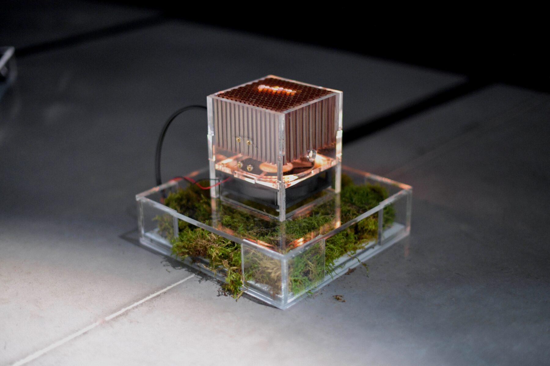 The Compass Rose - Perform Lab