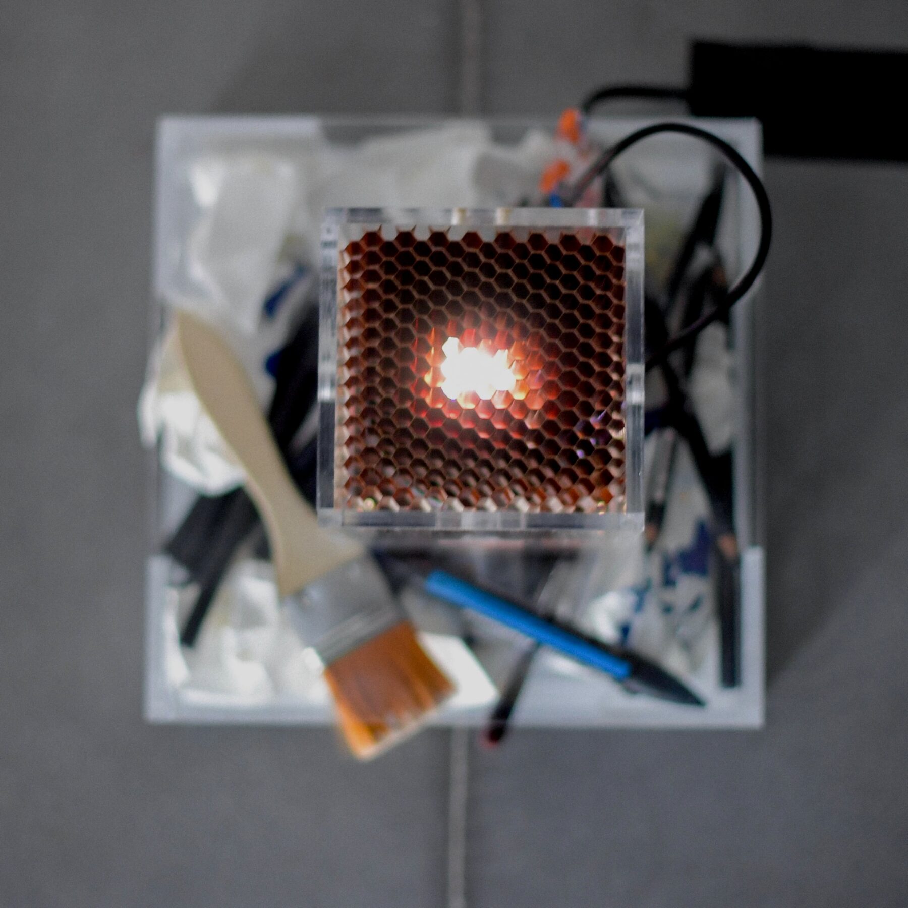 The Compass Rose - Perform Lab